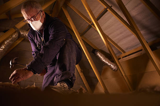 Best Insulation Maintenance and Repair in Hudson Oaks, TX
