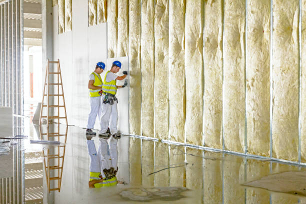 Best Residential Insulation in Hudson Oaks, TX